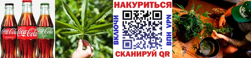 магазин продажи наркотиков  Новороссийск  Печенье с ТГК конопля 