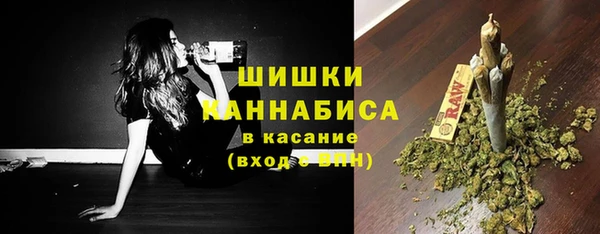 гидропоника Горняк