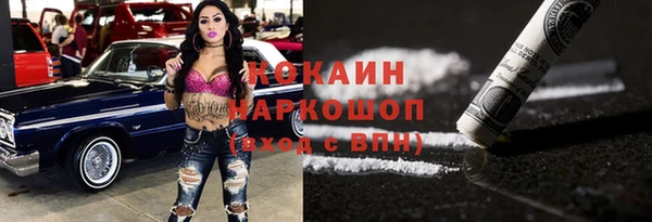 гидропоника Горняк