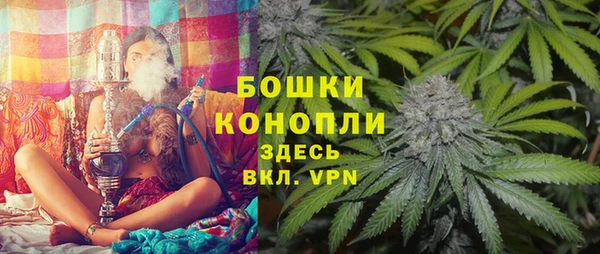 гидропоника Горняк