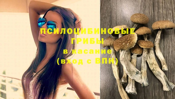 spice Горнозаводск