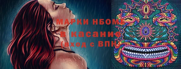 гидропоника Горняк