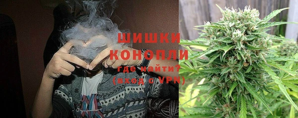 гидропоника Горняк