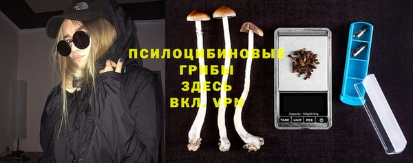 гидропоника Горняк