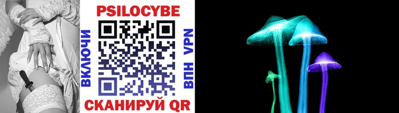 Псилоцибиновые грибы мицелий  Новороссийск 